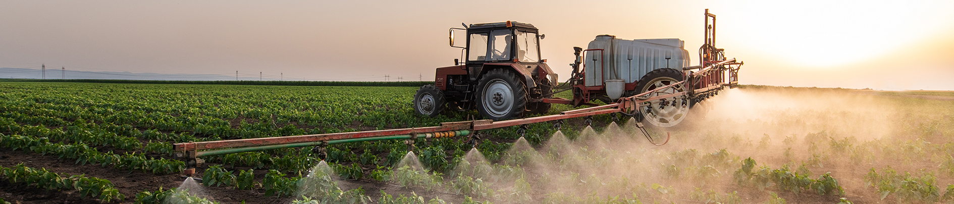Tractor spraying pesticides on vegetable field  with sprayer at spring